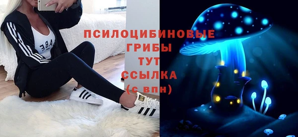 стаф Кукмор