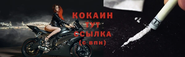 стаф Кукмор