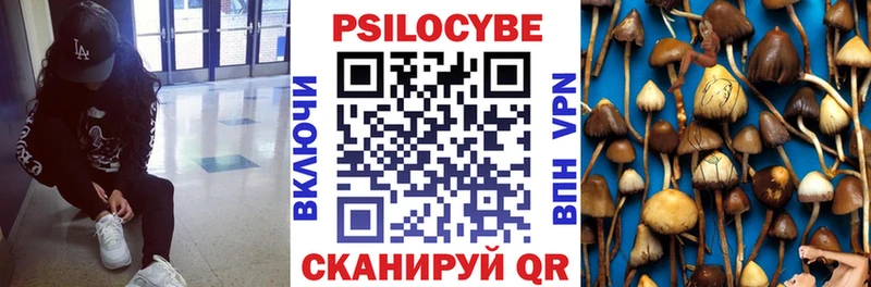 Галлюциногенные грибы Cubensis  Ессентукская 